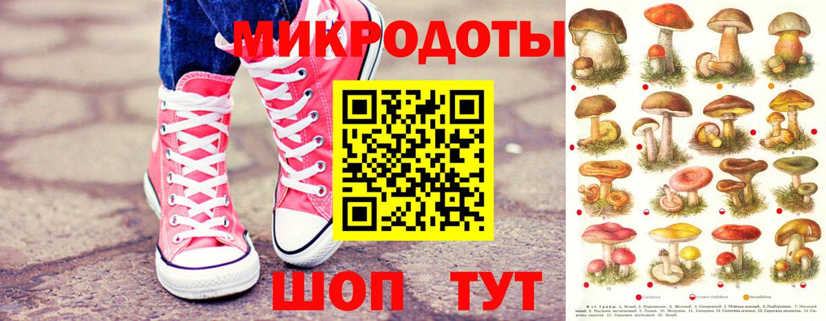 где найти наркотики  Вход с VPN  Приморско-Ахтарск  Псилоцибиновые грибы Cubensis 